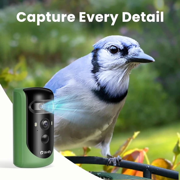Birdfy 2 Akıllı Kuş Yemliği, Kamera, AI ile Kuş Türlerini Tanımlama 2 Kamera - Resim 5
