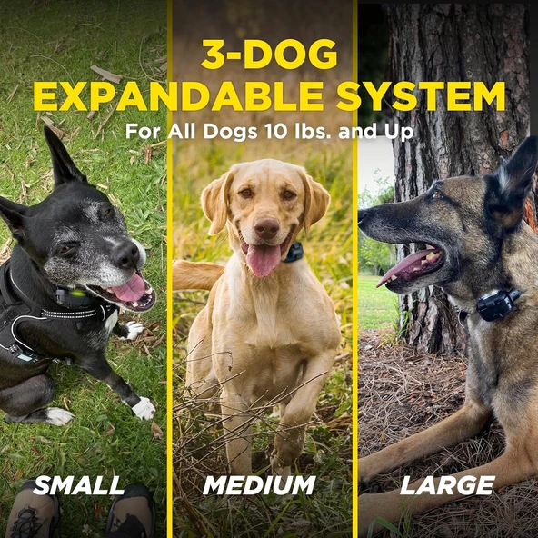 Dogtra 280X E-Tasma Uzaktan Kumandalı 2 Köpek Eğitim 1/2 Mil, 4,5 kg - Resim 2