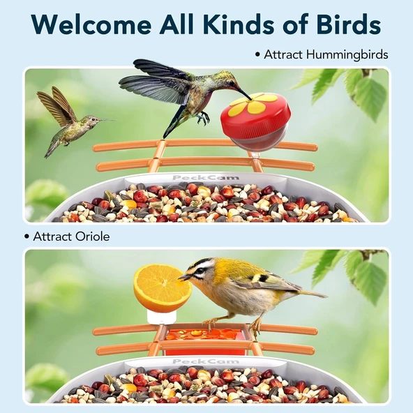 Peckcam Akıllı Kuş Yemliği, Kamera, 2K Canlı Gerçek Zamanlı Uyarı - Turuncu - Resim 5
