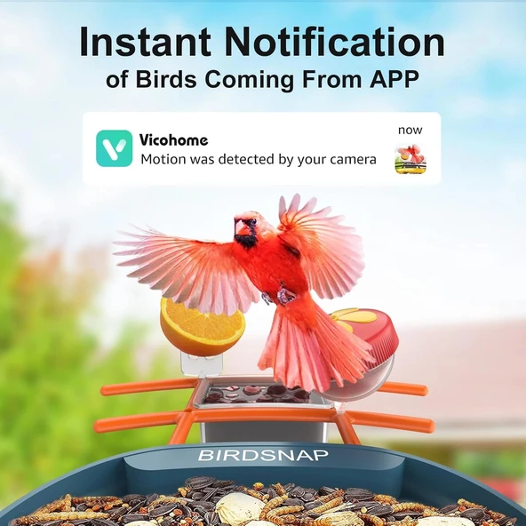BirdSnap PAV - Akıllı Kuş Yemliği, Güneş Enerjili Kamera 2K HD - Mavi - Resim 3