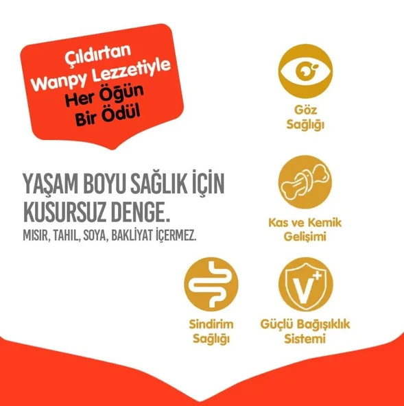 Wanpy Tahılsız Tavuklu Yavru Kedi Maması 8 kg - Resim 6