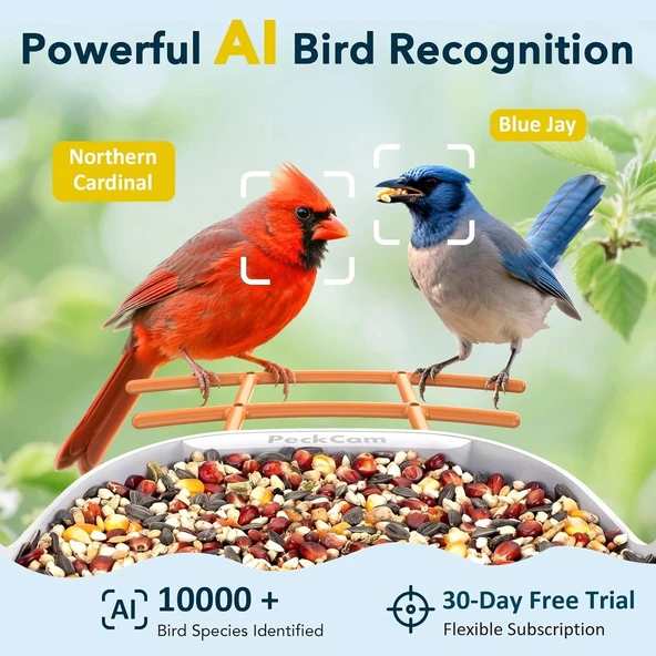Peckcam Akıllı Kuş Yemliği, Kamera, 2K Canlı Gerçek Zamanlı Uyarı - Turuncu - Resim 3