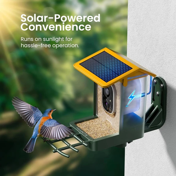 Heapets Kamera, Güneş Enerjili 2K HD Video - Sarı - Resim 3
