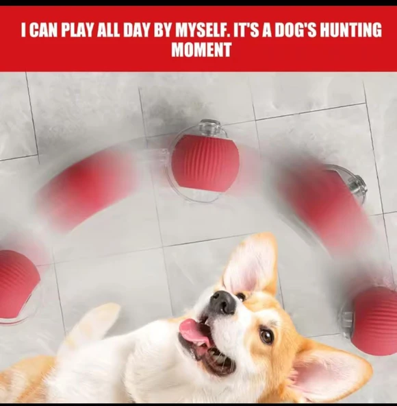 Kedi İpli USB type-C Şarjlı Hareketli Top Oyuncak - Resim 4