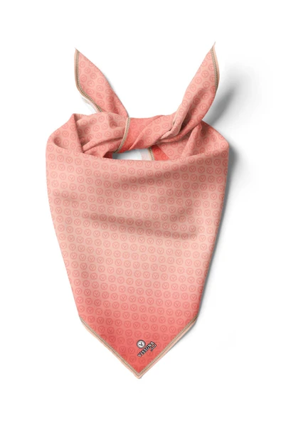 %100 İpek Kadın Desenli Bandana 80x80 ürün görseli