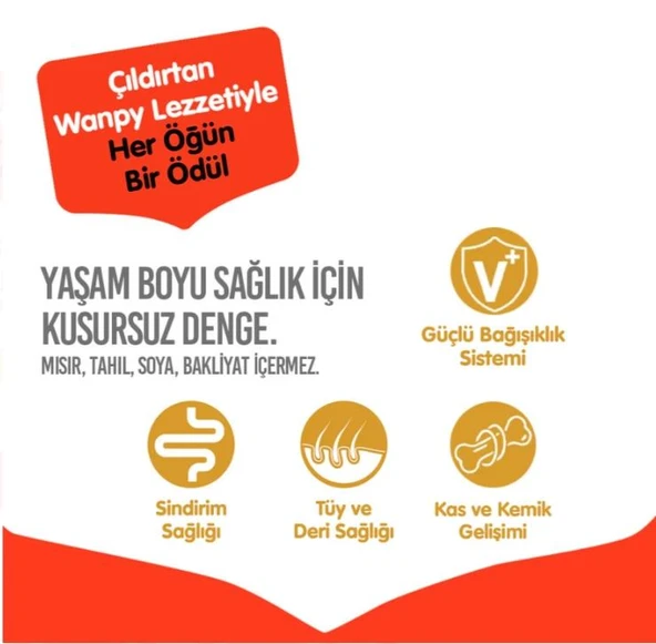 Wanpy Tahılsız Sığır Etli Yetişkin Köpek Maması 12 kg - Resim 3