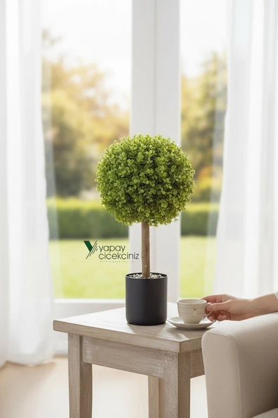 Siyah Renkli Saksıda Yoğun Yapraklı 65 Cm Yapay Top Şimşir Ağacı 35x35 - Resim 5