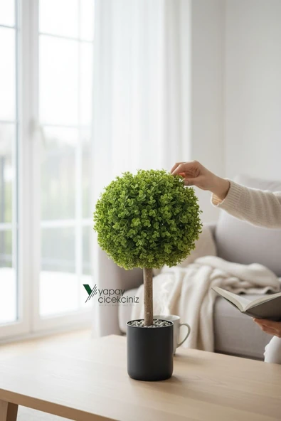 Siyah Renkli Saksıda Yoğun Yapraklı 65 Cm Yapay Top Şimşir Ağacı 35x35 ürün görseli