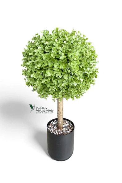 Siyah Renkli Saksıda Yoğun Yapraklı 65 Cm Yapay Top Şimşir Ağacı 35x35 - Resim 4