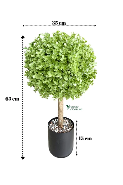 Siyah Renkli Saksıda Yoğun Yapraklı 65 Cm Yapay Top Şimşir Ağacı 35x35 - Resim 2