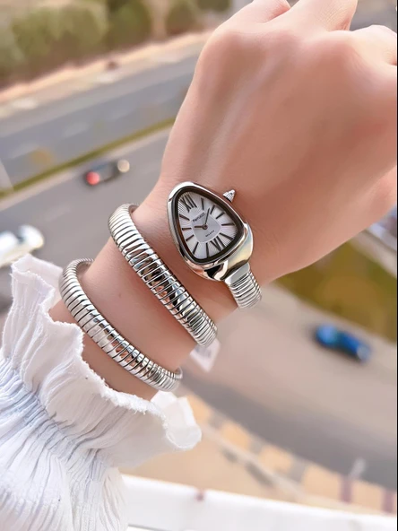 Ferrucci Yılan Dolamalı Çelik Kordon 2 Yıl Garantili 3 Atm Suya Dayanıklı Kadın Kol Saati C.03442.5 - Resim 3