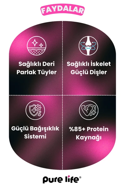 Premium Kuzulu Yetişkin Köpek Maması 15Kg - Resim 3