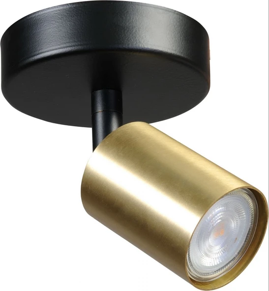 Rsylight Retro Siyah Eskitme Led spot Tavan Plofyoner  Aplik180 Derece Hareketli Günışığı Ampullü ürün görseli