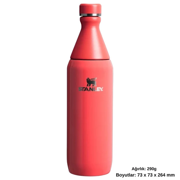 Stanley The All Day Slim Su Şişesi 0.59 L Termos Kamp Matara - Resim 7