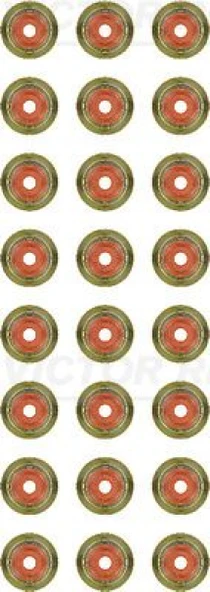 Bmw Supap Lastıgı Bmw M57 N57n E39 E46 E60 E63 E53 E70 E83 E90 - Victor Reinz 12-35172-02 ürün görseli 1