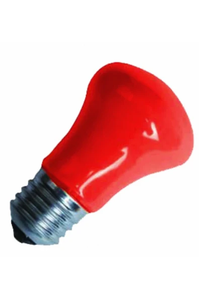 Deneme Zamanı K2 Global 15w Mantar Gece Ampulü Kes067 Yeşil - Resim 2