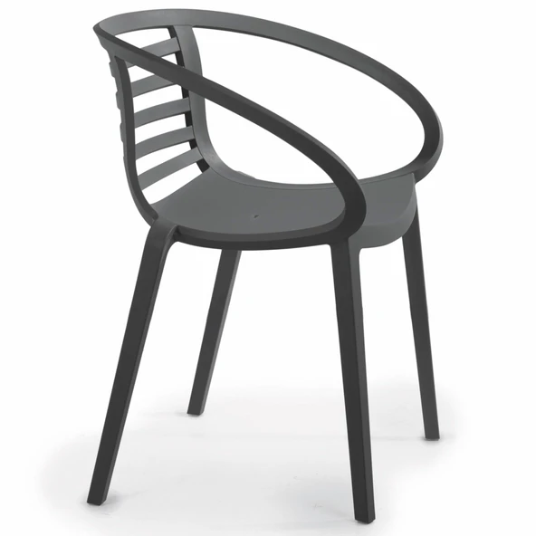 Papatya Mambo Koltuk Beyaz 4lü Paket - Bahçe Balkon Mutfak Sandalyesi - Resim 7