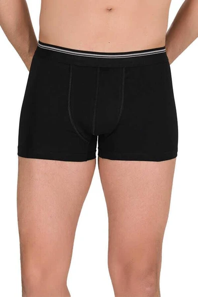 5 Adet Berrak Erkek Likralı Boxer Short 1097 - Resim 5