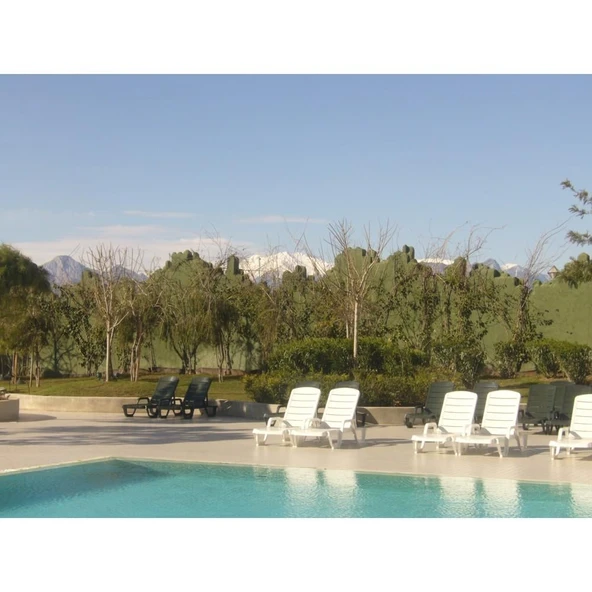 Papatya Avangarde Plastik Şezlong Kolçaklı Beyaz (4 ADET) - Resim 5