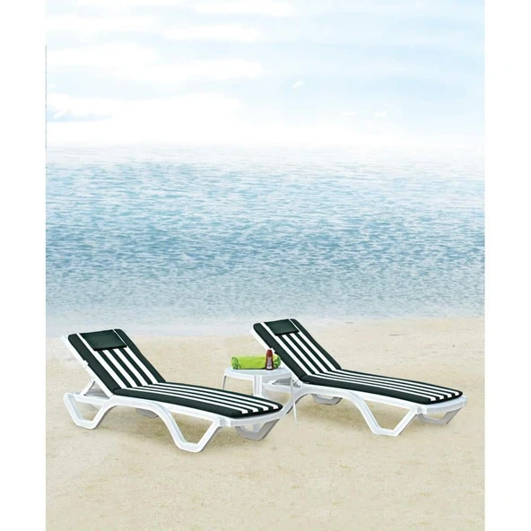 Papatya Avangarde Plastik Şezlong Kolçaklı Beyaz - Bahçe Balkon Plaj Şezlongu - Resim 7