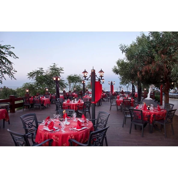 Papatya Commadore Koltuk Yeşil 4lü Paket - Plastik Bahçe Balkon Sandalyesi - Resim 8