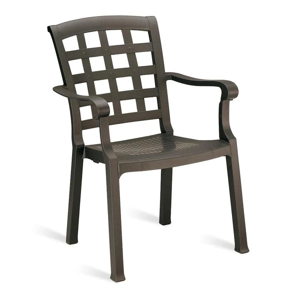 Papatya Pasha Plastik Koltuk Yeşil 2li Paket - Bahçe Balkon Teras Sandalyesi - Resim 5