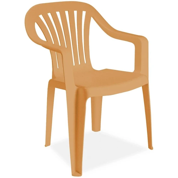 Papatya Tropik Plastik Koltuk Teak 2li Paket - Bahçe, Balkon, Teras Sandalyesi - Resim 2