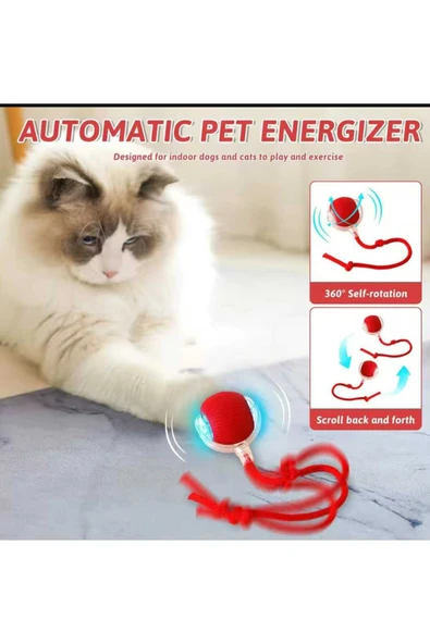 Animal Evcil Hayvan İpli USB Şarjlı Hareketli Top - Resim 6