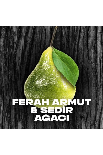 Axe Erkek Roll On Deodorant Black 48 Saat Etkileyici Koku 50 ml X2 - Resim 4