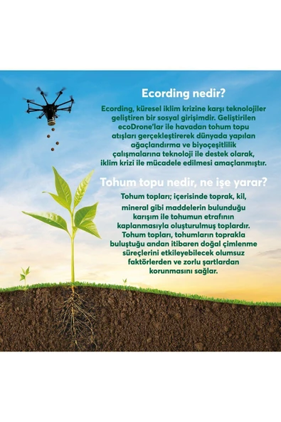 Sofia TUVALET KAĞIDI 32 RULO - Resim 3