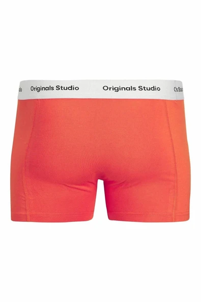 Jack Jones Vesterbro Solıd 3 Lü Paket Erkek Boxer 12272945 - Resim 3