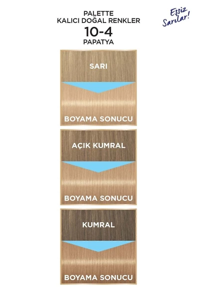 Palette Kalıcı Doğal Renkler 10-4 Papatya Hindistan Cevizi Yağı Saç Boyası - Resim 3