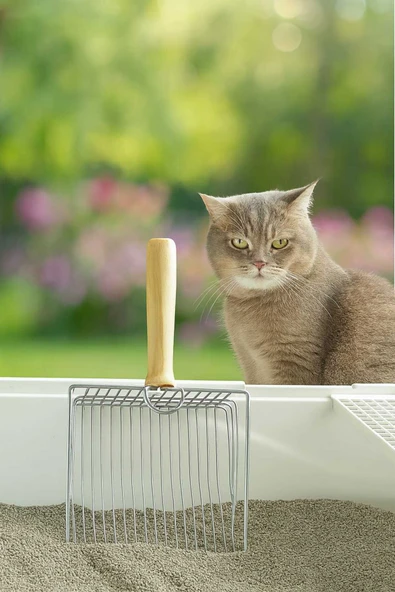 Animal Ahşap Saplı Metal Kum Temizleme Küreği ürün görseli 1