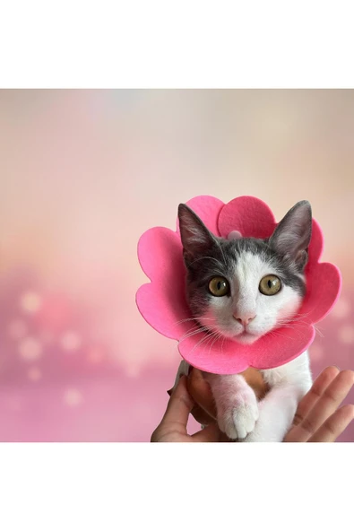 Animal Evcil Hayvan Keçe Boyunluk - Resim 5