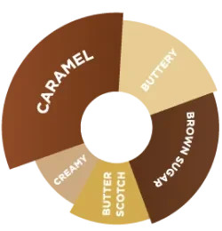 Da Vinci - Karamel Sos - 2000 Gr - Resim 2