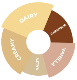 Da Vinci - Beyaz Çikolata Sos - 2000 Gr - Resim 2