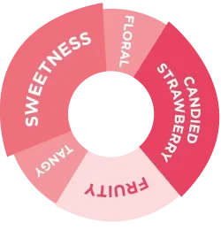 Da Vinci - Çilek Şurup - 750 ML - Resim 2