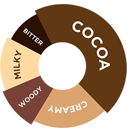 Da Vinci - Çikolata Şurup - 750 ML - Resim 2