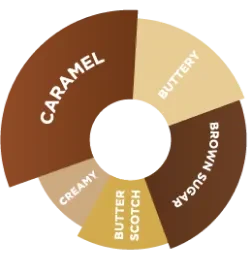 Da Vinci - Karamel Şurup - 750 ML - Resim 2