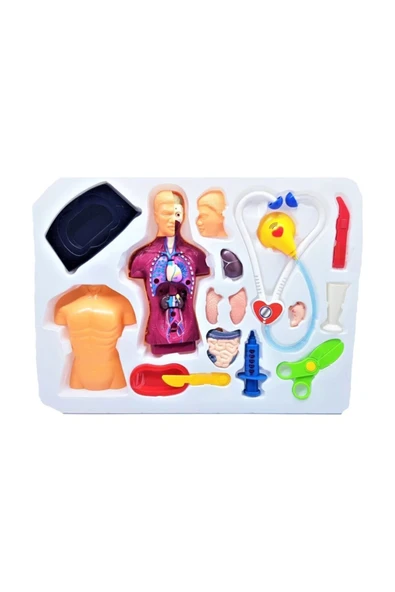 Anatomi İnsan Vücudu Doktor Oyun Seti 18 Parça Eğitici Anatomik Öğrenme Oyuncağı - Resim 2