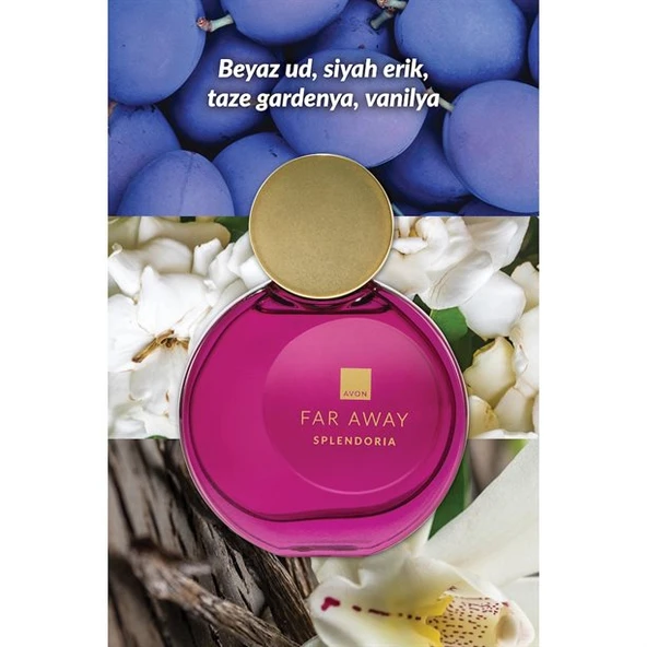 Far Away Splendoria Kadın Parfüm EDP 50ml - Resim 5