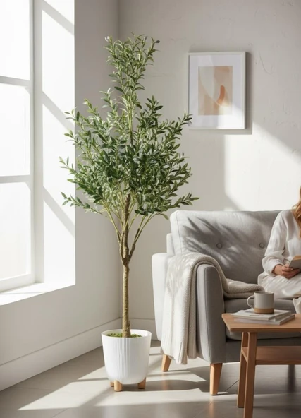 Yapay Zeytin Ağacı 185cm Doğal Görünümlü Yapay Ağaç Beyaz 25cm Zigon Saksıda - Resim 8