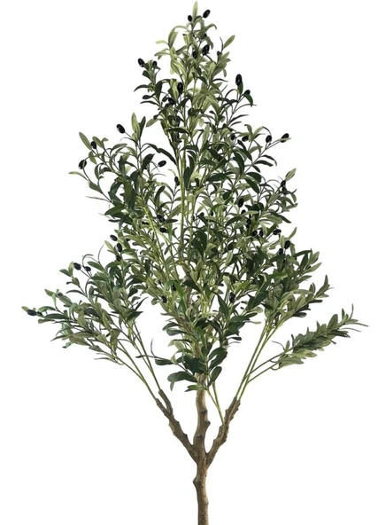 Yapay Zeytin Ağacı 185cm Doğal Görünümlü Yapay Ağaç Beyaz 25cm Zigon Saksıda - Resim 5