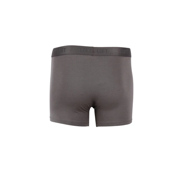 Erkek Boxer - Resim 3