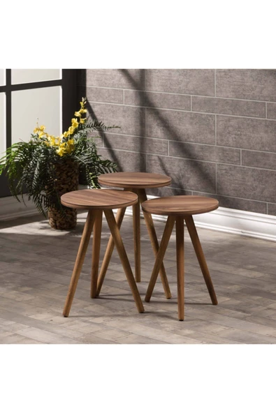 Zigon Sehpa Ve Orta Sehpa Kr Torna Ceviz Set 3006 ürün görseli 1