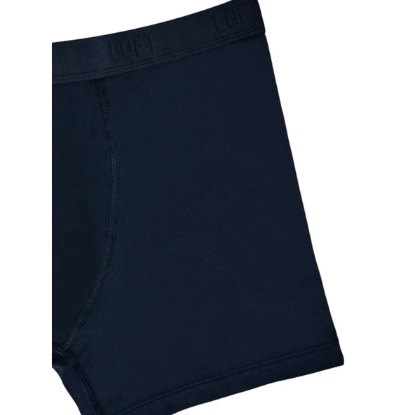 Erkek Boxer - Resim 11