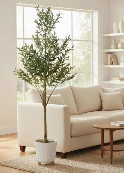 Yapay Zeytin Ağacı 185cm Doğal Görünümlü Yapay Ağaç Beyaz 25cm Zigon Saksıda - Resim 7