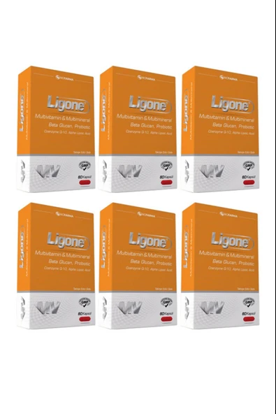 Ligone Multivitamin 60 Kapsül 6 Adet ürün görseli