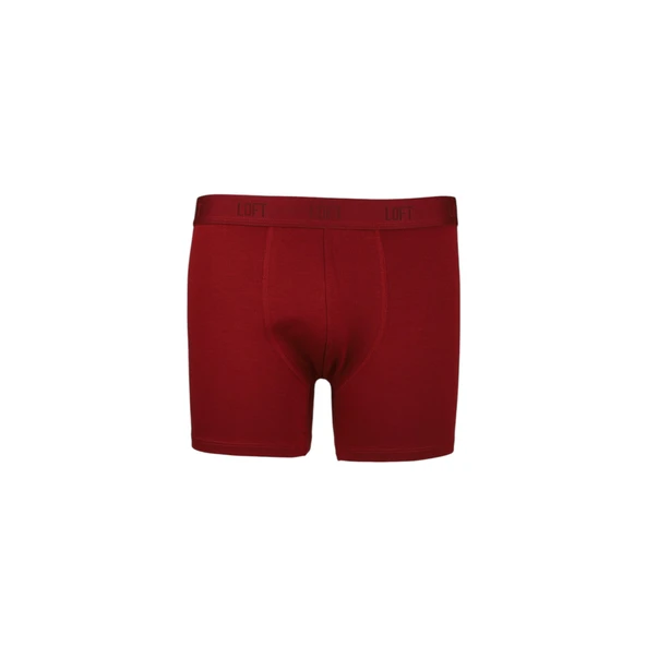 Erkek Boxer - Resim 5