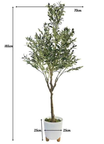 Yapay Zeytin Ağacı 185cm Doğal Görünümlü Yapay Ağaç Beyaz 25cm Zigon Saksıda - Resim 4